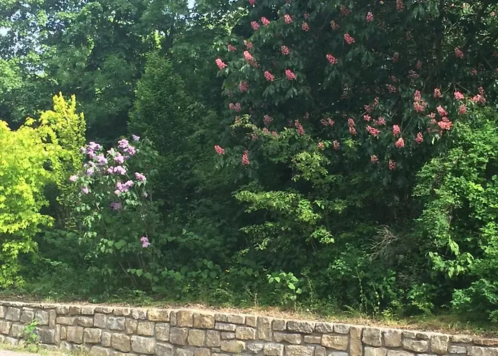 Appartement Erfordia Am Egapark Erfurt